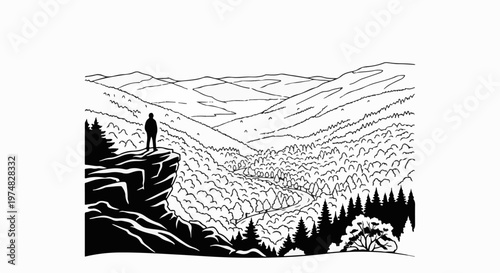 Solitary figure surveys a vast, wooded valley from a rocky precipice