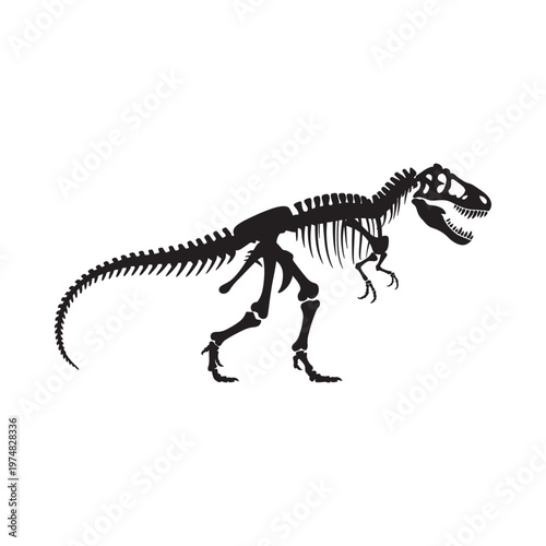 A black silhouette of a tyrannosaurus rex dinosaur skeleton on white