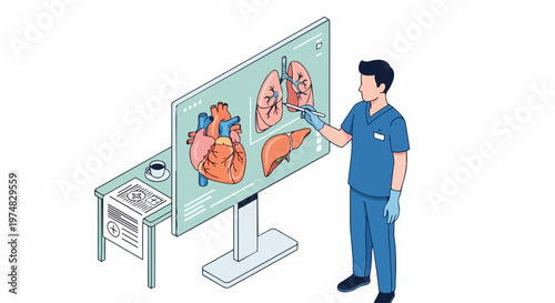 Doctor Analyzing Human Internal Organs on Digital Screen Illustration - Medical Anatomy Education and Healthcare Technology Concept