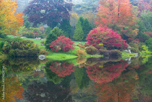 autumn colors in the park