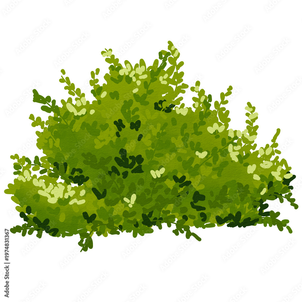 Obraz premium Bush