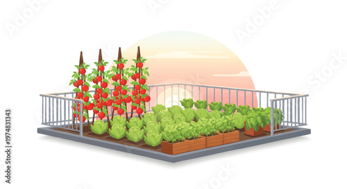 Raised garden bed with tomato and lettuce plants on balcony