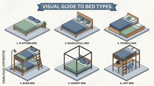 Isometric vector illustration of various bed types collection. Visual guide including platform bed, double bed, trundle bed, bunk bed, canopy bed, and loft bed with desk.