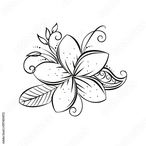 Plumeria frangipani flower with decorative swirl ornaments.