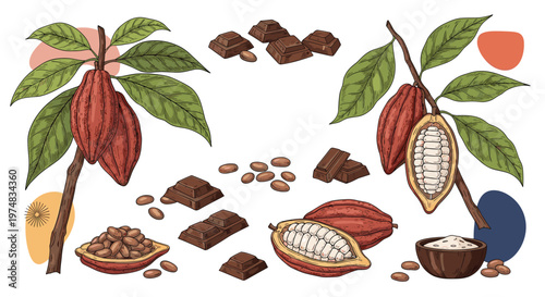 Botanical illustration set of cocoa tree branches with ripe pods, beans, chocolate bars, and cocoa powder elements on a white background.