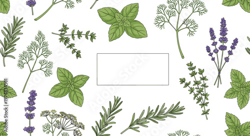 Beautiful seamless pattern of garden herbs like rosemary, basil, lavender, and dill with a blank rectangular frame.