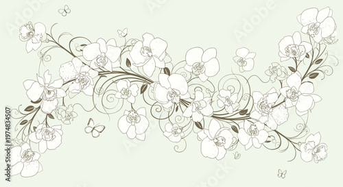 Elegant horizontal border design featuring delicate white orchid flowers, swirling vines, and small butterflies on a light background.