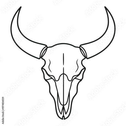 Stylized line art illustration of a bull skull with large curved horns presented centrally and isolated on a clean white background embodying a rustic wild west 