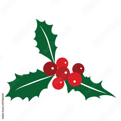 Mistletoe icon 3