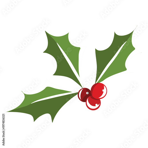 Mistletoe icon 5