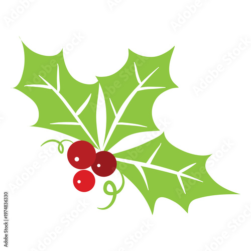 Mistletoe icon 4