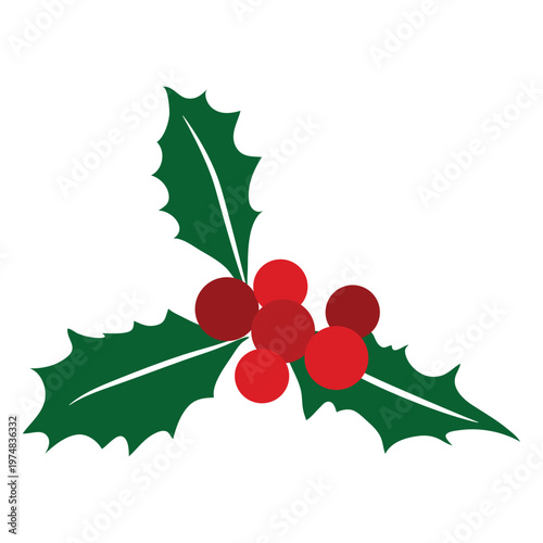 Mistletoe icon 34
