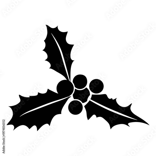 Mistletoe silhouette icon 31