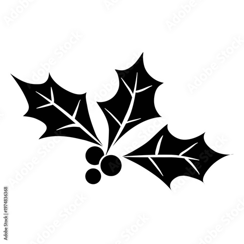 Mistletoe silhouette icon 27