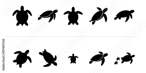 Sea turtle silhouette collection, set of 10 marine reptile vector icons, black aquatic animal shapes on white background, ocean wildlife graphics