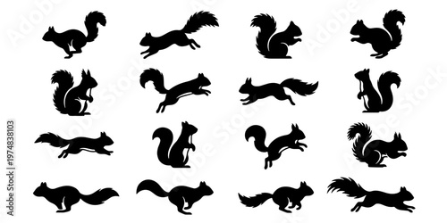 Black squirrel silhouette collection, 16 vector animal icons in various poses, wild forest rodent shapes for nature design and wildlife branding