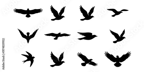 Black bird silhouettes set, 12 flying birds vector icons, soaring eagle and hawk shapes, isolated wild bird flock elements for nature design