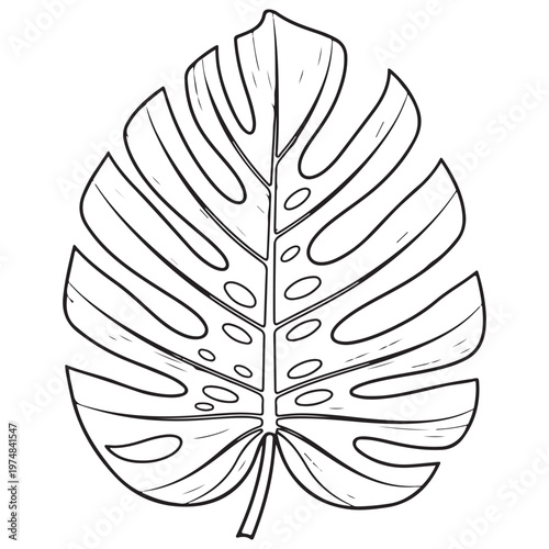 Monstera Tropical Leaf Botanical Line Art Drawing