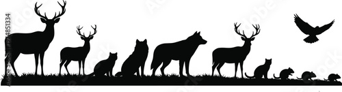 Wildlife animal silhouettes of deer, fox, wolf, rabbit, squirrel, bird in flight on grassy nature landscape scene biodiversity harmony illustration