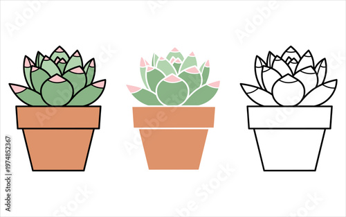 Cute succulent plant in terracotta pot flat cartoon illustration set