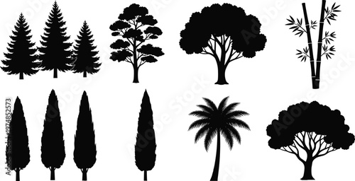 Vector Collection of Black Tree Silhouettes Featuring Pine Conifers Cypress Palm Trees and Bamboo Elements Isolated on White Background for Professional Landscape Design Projects