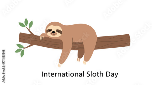 International sloth day illustration featuring a cute sloth sleeping peacefully on a tree branch on white background.