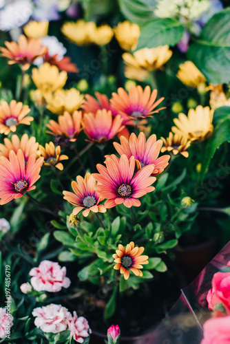 Beautiful colorful flowers in a Flower shop. Close up.