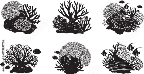 Coral Reef Illustrations with Fish and Seaweed Silhouettes