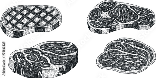 Vintage sketch of four different cuts of raw beef meat