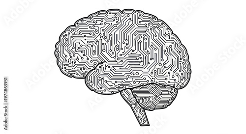 Human Brain Anatomy Illustration Drawing.