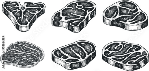Vintage style illustration of various cuts of raw beef steak