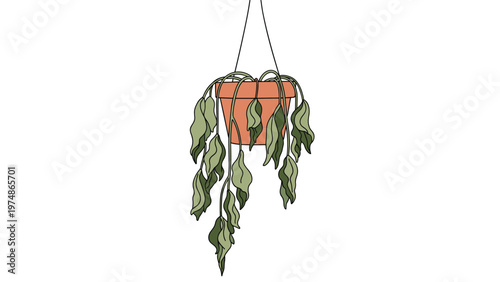 Dried and wilting green plant hanging in a clay pot against a white background to illustrate neglect or lack of watering.