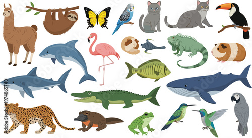 Wild and Exotic Animals Vector Illustration Set Featuring Dolphin, Shark, Leopard, Toucan, Iguana, Frog, Flamingo, Parrot, Cat, and More in Flat Style.
