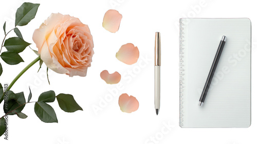 A beautiful rose with petals and a pen on a notebook on transparent background