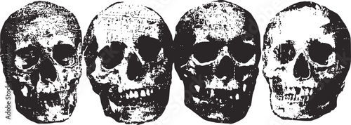 Four detailed monochrome human skull illustrations in a row, vintage anatomical drawing