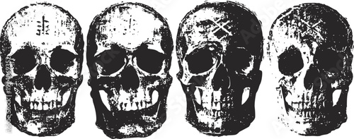 four detailed human skull illustrations in black and white with varying textures and shading