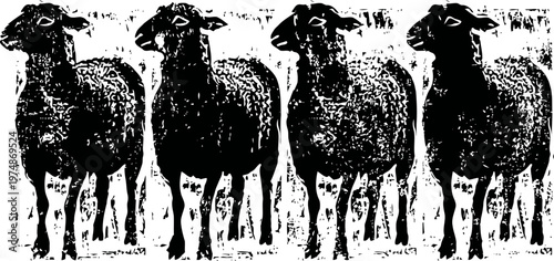 Black sheep standing together in a row silhouette illustration