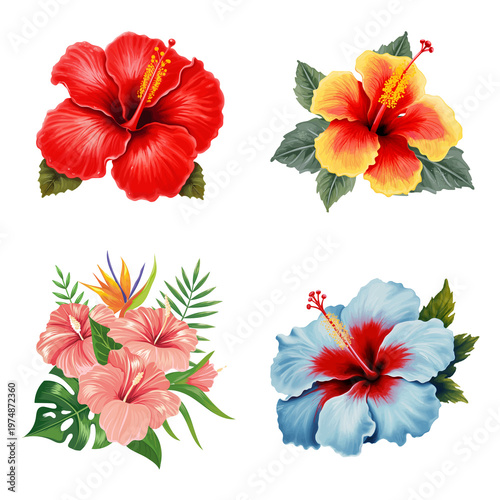Vibrant collection of exotic tropical hibiscus flowers in various bright colors, perfect for summer designs and botanical illustrations