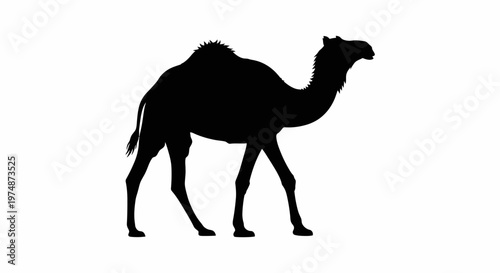 Camel Silhouette Walking Profile View.