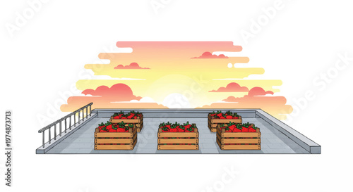 rooftop garden with strawberry crates at sunset