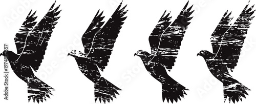 black silhouette of a flying bird with textured grunge wings in four different flight poses
