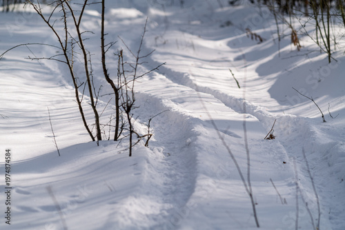 ATV tracks in the snow.