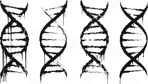 Four black grunge dna double helix symbols isolated on white background in varying ink brush stroke designs