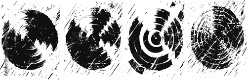 tree rings cross sections showing growth patterns and age differentiation in wood
