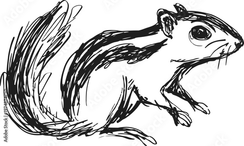 Hand drawn chipmunk illustration with textured fur and bushy tail in sketch