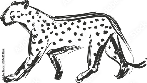 Hand drawn cheetah outline in walking pose simple black ink sketch of wild feline with spotted fur