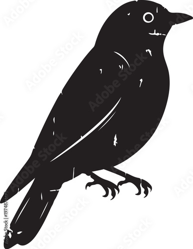 Black Bird Silhouette Standing on One Leg Profile View