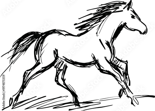 running horse sketch hand drawn black ink illustration of a galloping horse in dynamic motion on white background