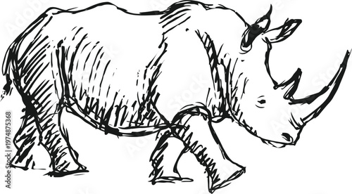 hand drawn rhinoceros sketch wild animal outline with horn, textured fur and detailed legs nature and wildlife illustration