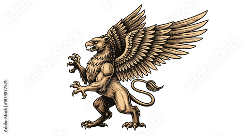 Intricate hand drawn illustration of a mythological griffin with lion body and eagle wings standing in a majestic pose on a white background.